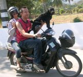 Two people and a dog riding a motorbike.